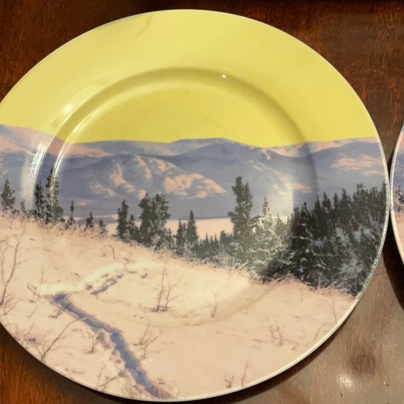 DRAKE GENERAL STORE YUKON DINNER PLATES SET OF 4 - Picture 3 of 8
